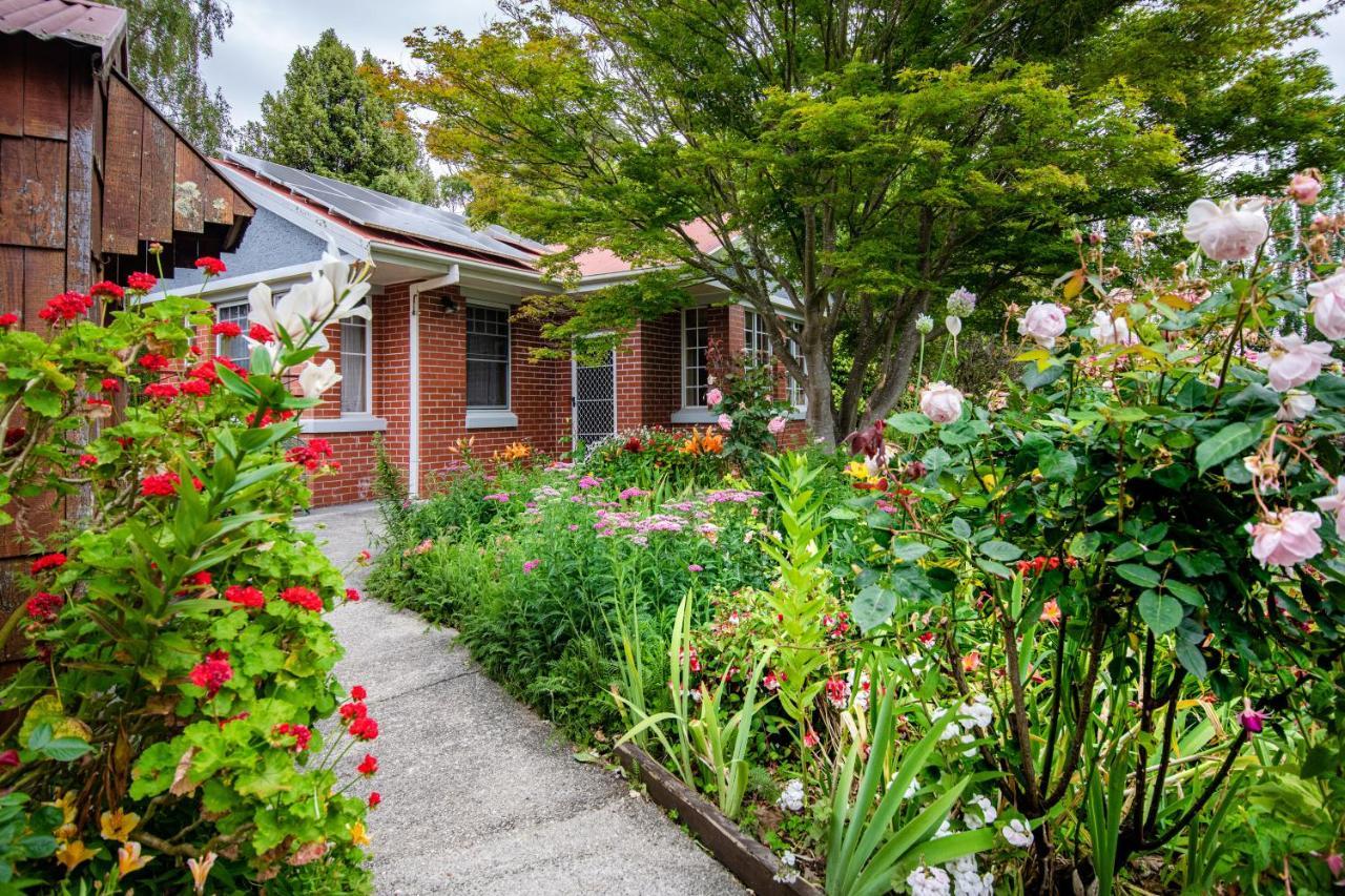 Alexandria Bed And Breakfast Wynyard Buitenkant foto