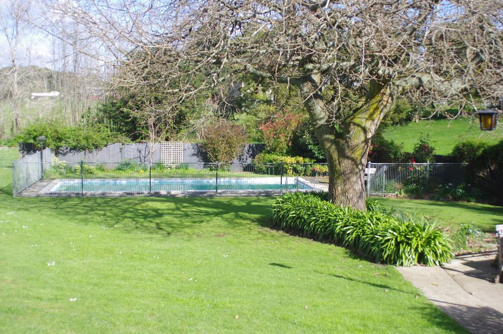 Alexandria Bed And Breakfast Wynyard Kamer foto